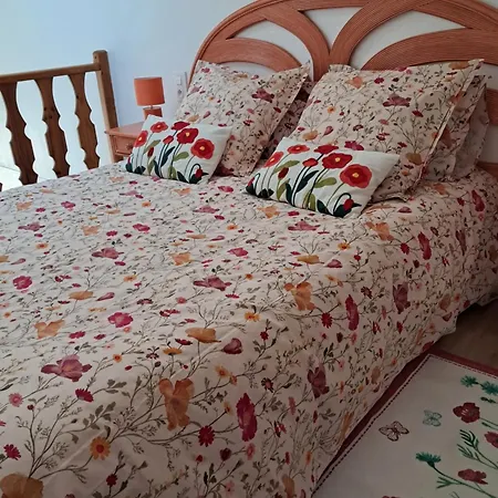 Les Coquelicots. Mirepoix (Ariege)